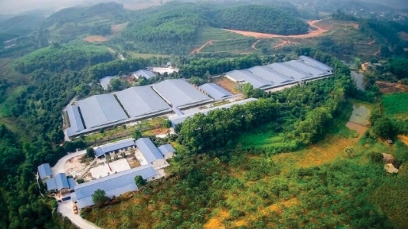 Dự án chăn nuôi tập trung Đồng Hội, xã Phú Mỡ